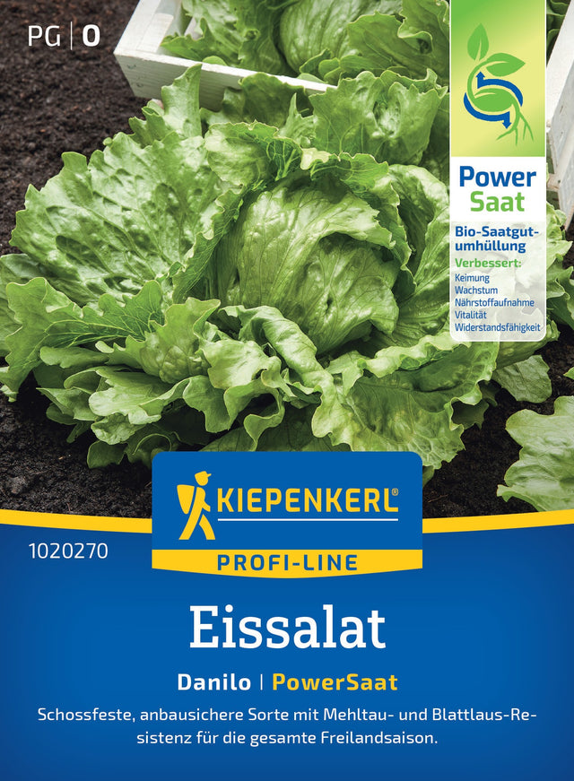 Kiepenkerl Eisbergsalat Danilo Pillensaat
