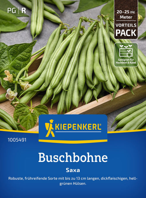 Kiepenkerl Buschbohnen Saxa Vorteilspack