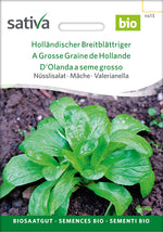 Sativa Nüsslisalat Holländischer Breitblättriger