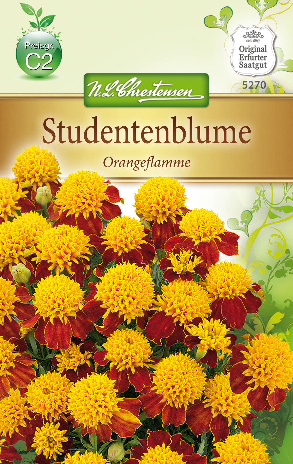 N.L. Chrestensen Studentenblume Orangeflamme