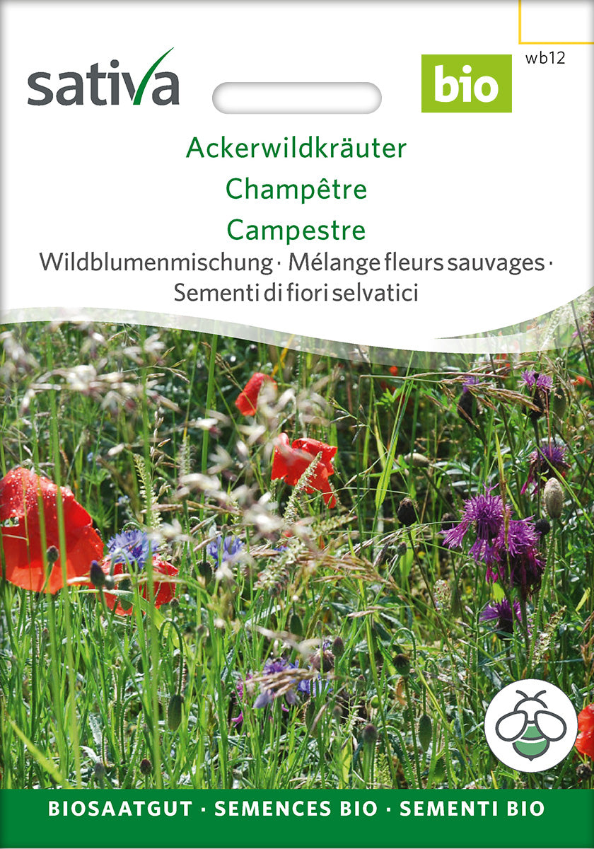 Sativa Wildblumenmischung Ackerwildkräuter