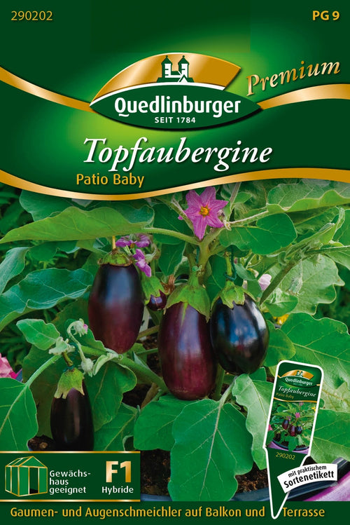 Quedlinburger Topfaubergine Patio Baby