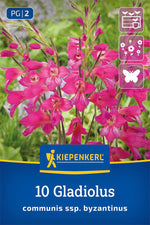 Wild-Gladiole
