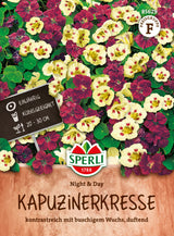 SPERLI Kapuzinerkresse Night & Day