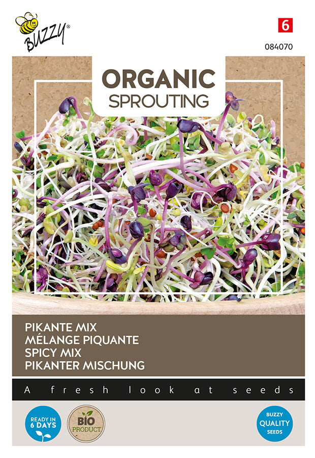 Buzzy Seeds BIO Keimsprossen Salat Pikant
