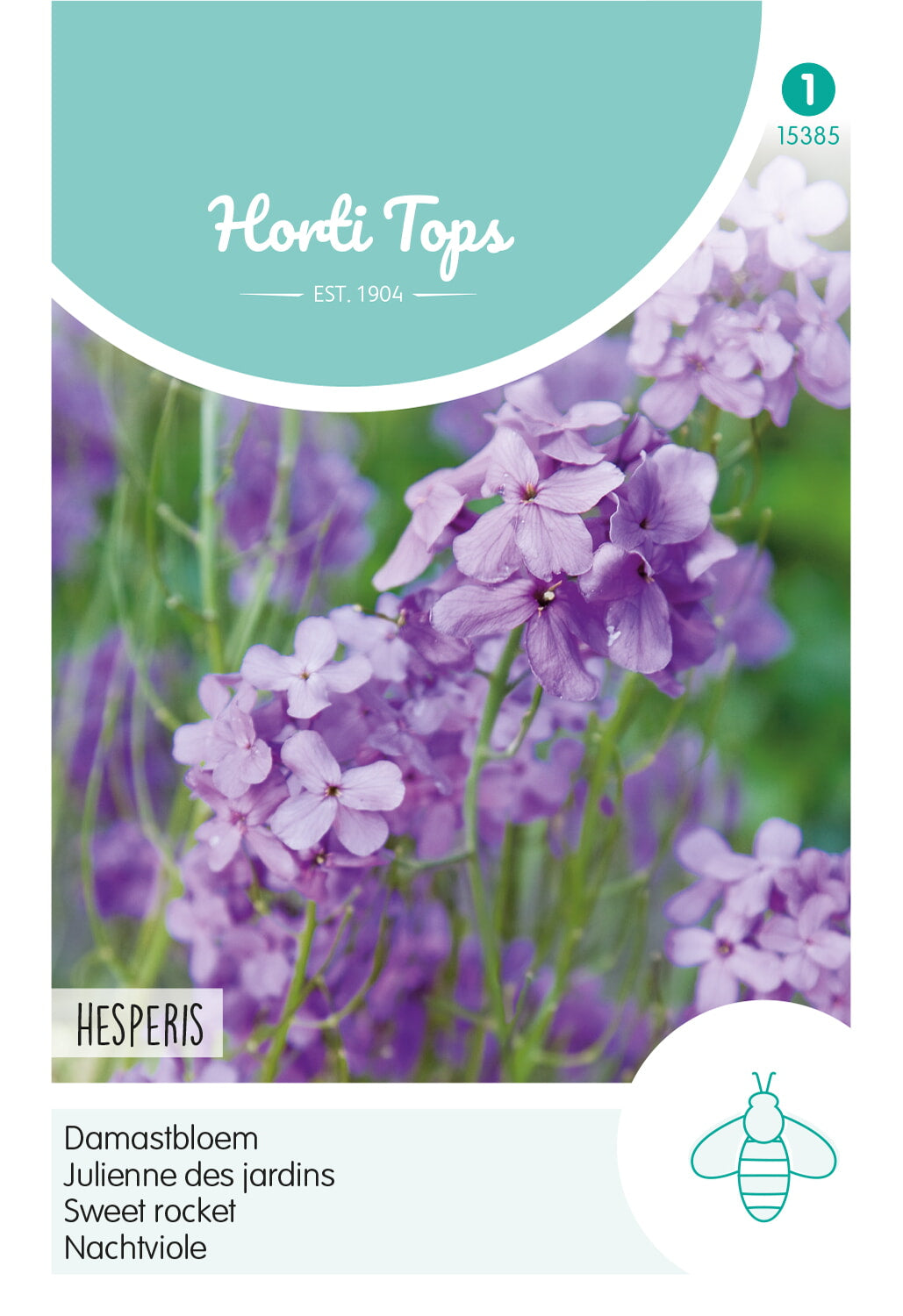 Horti Tops Nachtviole Matronalis, Violett