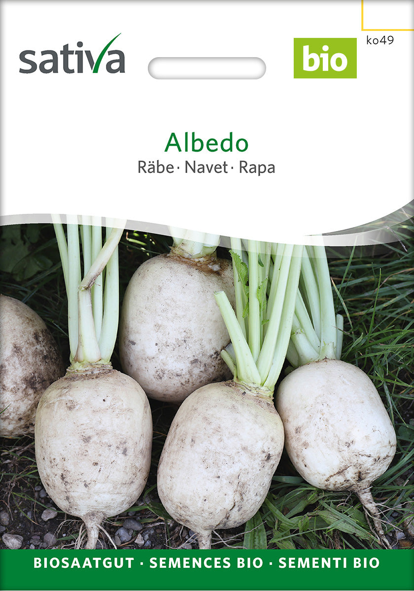 Sativa Räbe Albedo