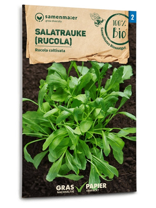 Samen Maier BIO Salatrauke Rucola