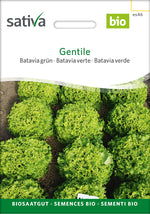 Sativa Bataviasalat grün Gentile