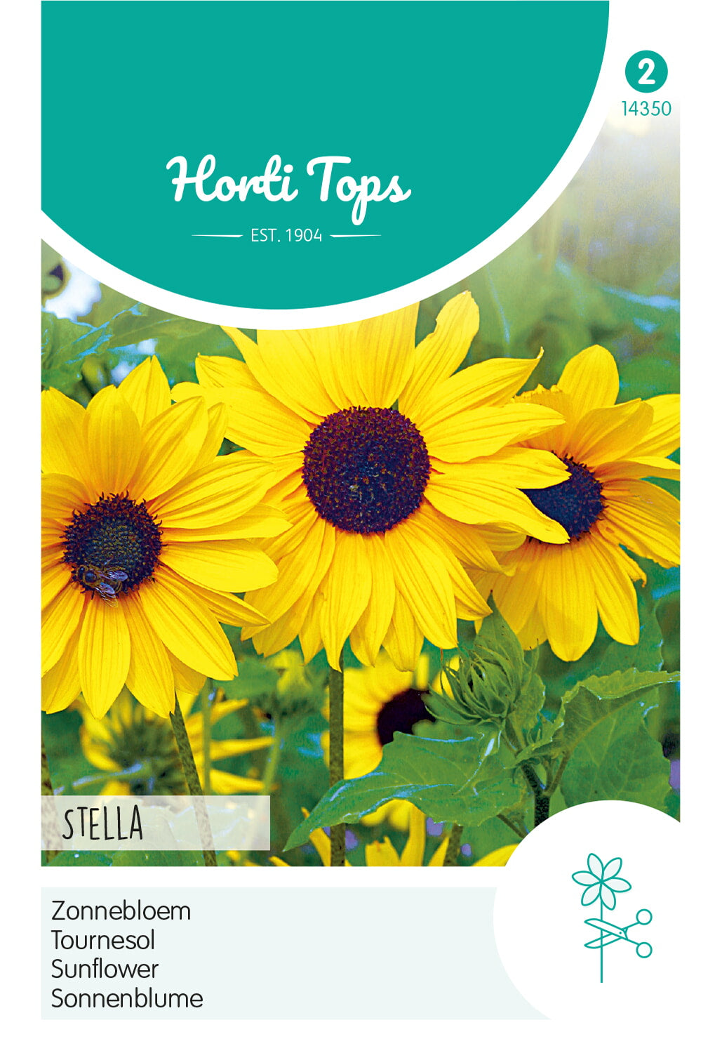 Horti Tops Sonnenblume Debilis Stella, Gelb