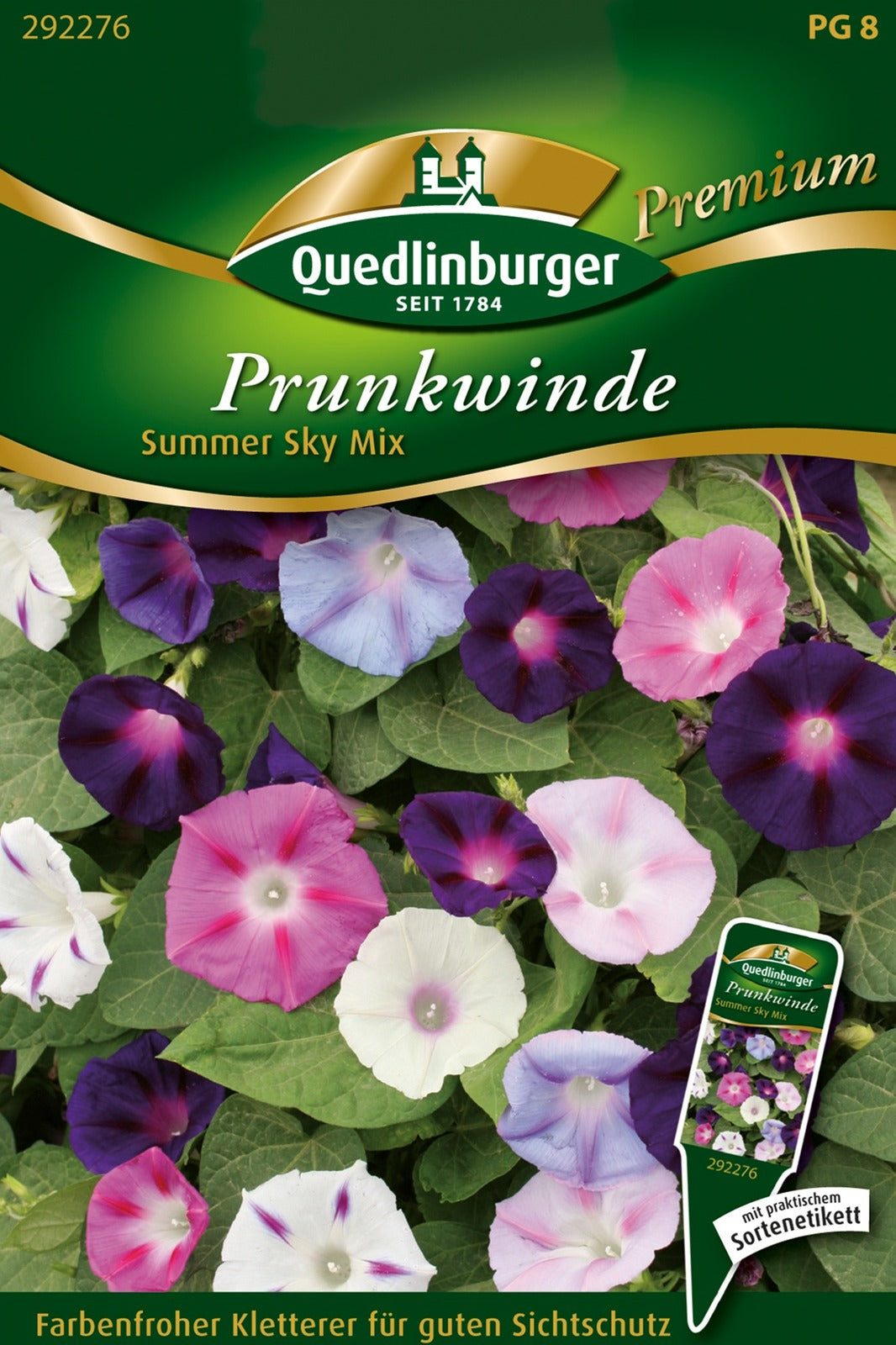 Quedlinburger Prunkwinde Summer Sky Mix