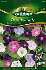 Quedlinburger Prunkwinde Summer Sky Mix