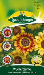 Quedlinburger Wucherblume Frohe Mischung