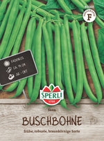 SPERLI Buschbohne Saxa