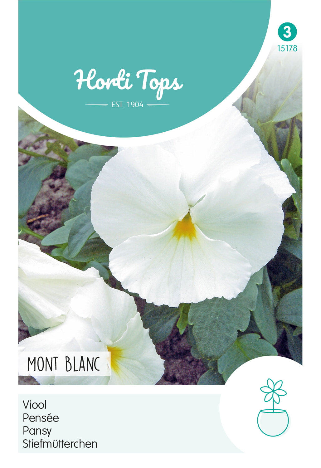 Horti Tops Garten-Stiefmütterchen Schweizer Riesen Firnenschnee