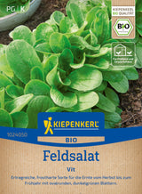 Kiepenkerl Feldsalat Vit