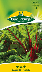 Quedlinburger Mangold Ampera 