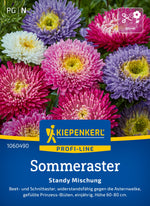 Kiepenkerl Sommeraster Standy Mischung