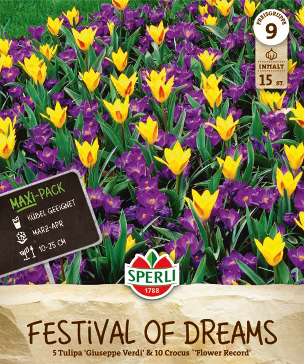 Maxi Festival of Dreams