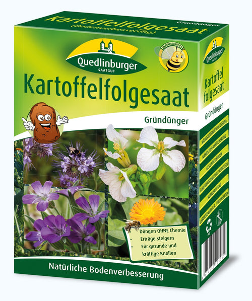 Quedlinburger Gründüngung Kartoffelfolgesaatat