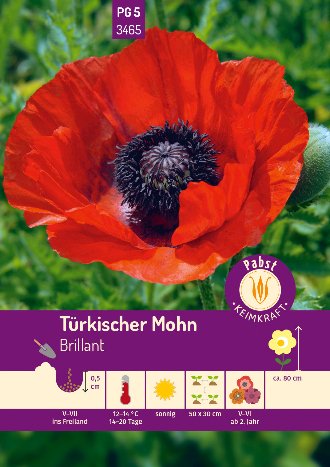 Pabst Keimkraft Mohn Türkischer Brillant