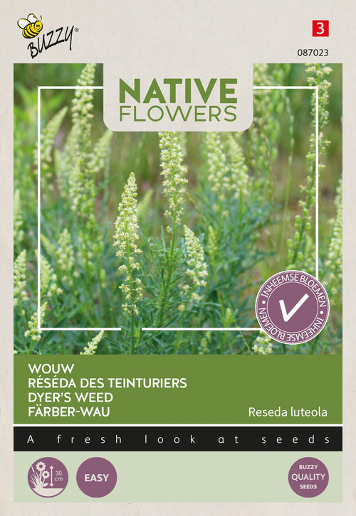 Buzzy Seeds Reseda Färber-Wau