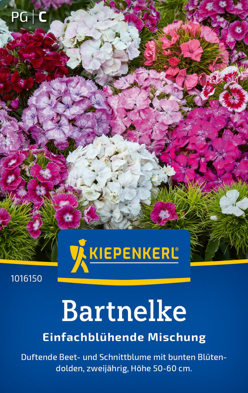 Kiepenkerl Bartnelken Einfachblühende Mischung