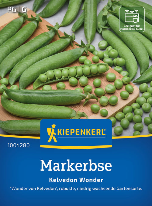 Kiepenkerl Markerbse Kelvedon Wonder