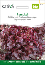 Sativa Eichblatt rot Pumukel