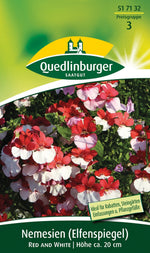 Quedlinburger Elfenspiegel Red and White