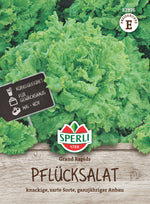 SPERLI Pflück- & Schnittsalat Grand Rapids