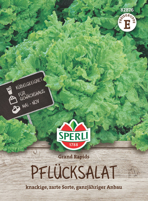 SPERLI Pflück- & Schnittsalat Grand Rapids