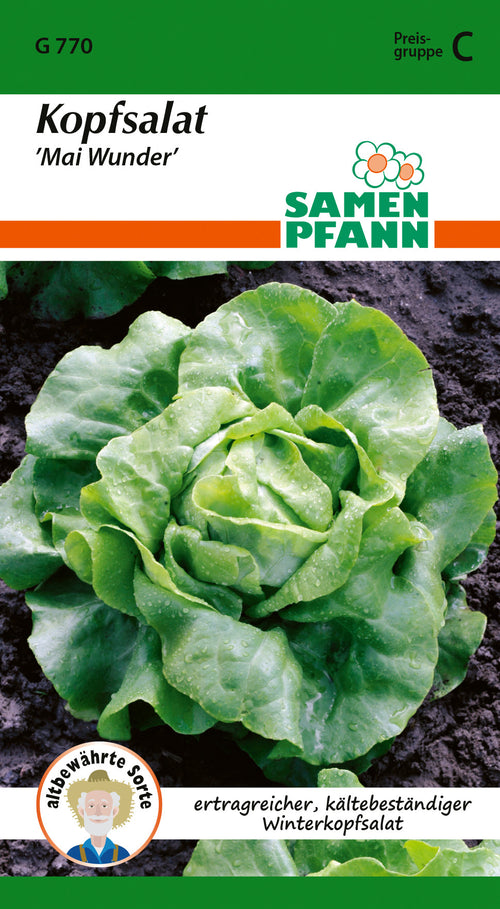 Samen Pfann Kopfsalat Mai Wunder