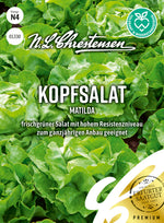 N.L. Chrestensen Kopfsalat AV Matilda