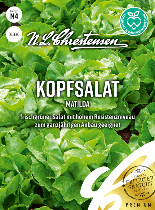 N.L. Chrestensen Kopfsalat AV Matilda
