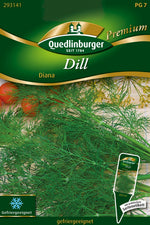 Quedlinburger Blattdill Diana