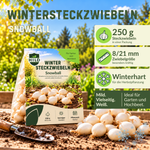 HILD Wintersteckzwiebel Snowball 250 Gramm