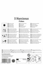 Alpenveilchen-Narzisse Fidan