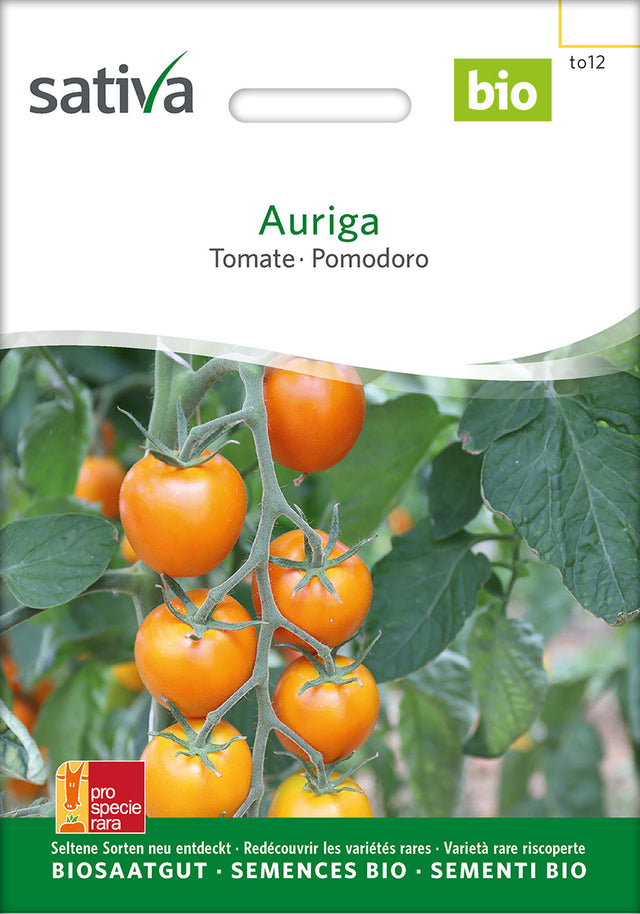 Sativa Tomate Auriga