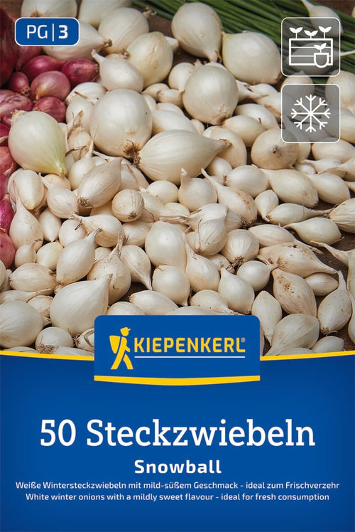 Kiepenkerl Weiße Wintersteckzwiebel Snowball 50 Stück
