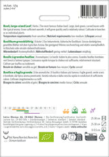 Sativa Basilikum grossblättrig