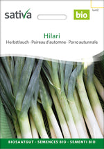 Sativa Herbstlauch Hilari