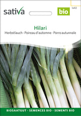 Sativa Herbstlauch Hilari