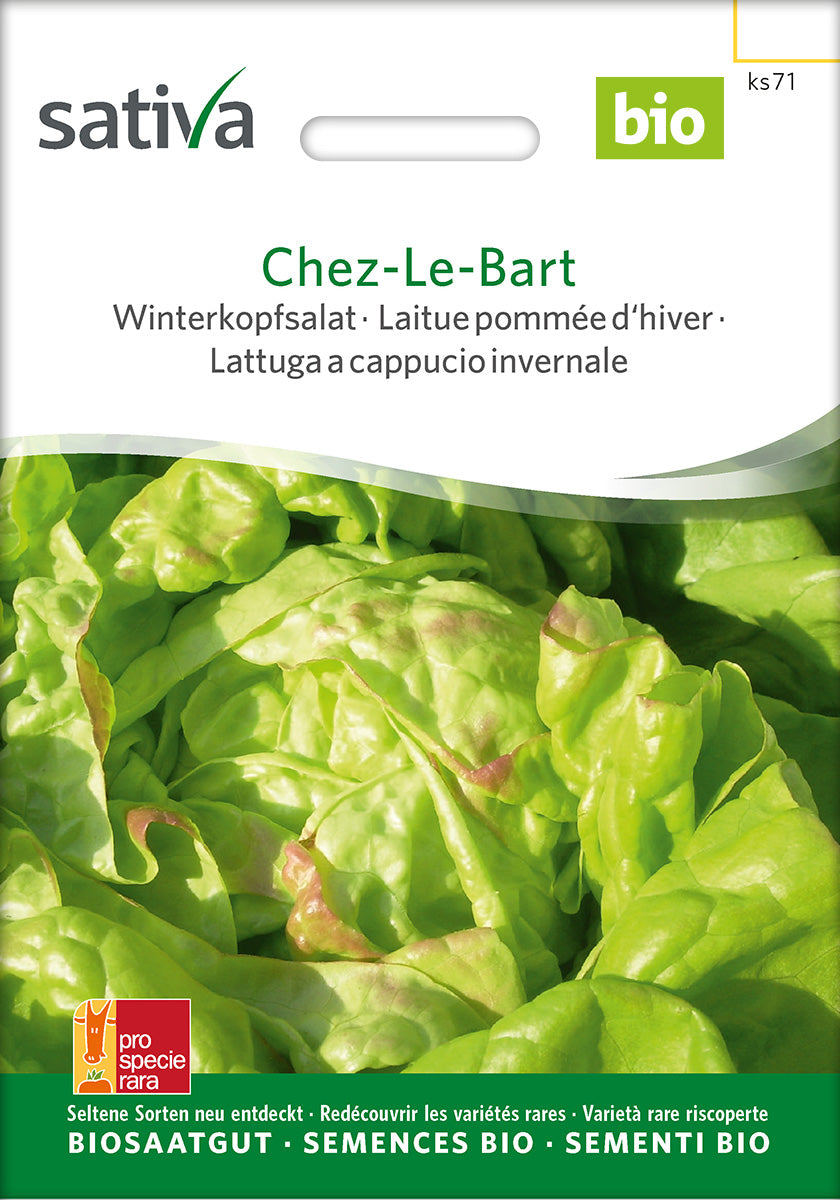 Sativa BIO Winterkopfsalat Chez-Le-Bart