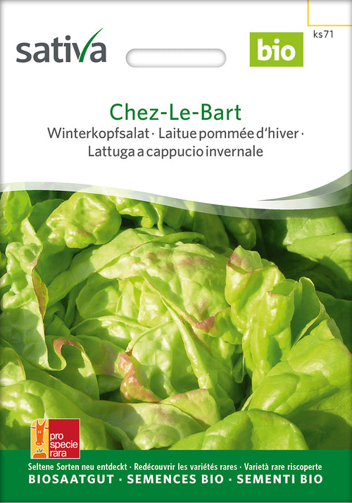 Sativa BIO Winterkopfsalat Chez-Le-Bart