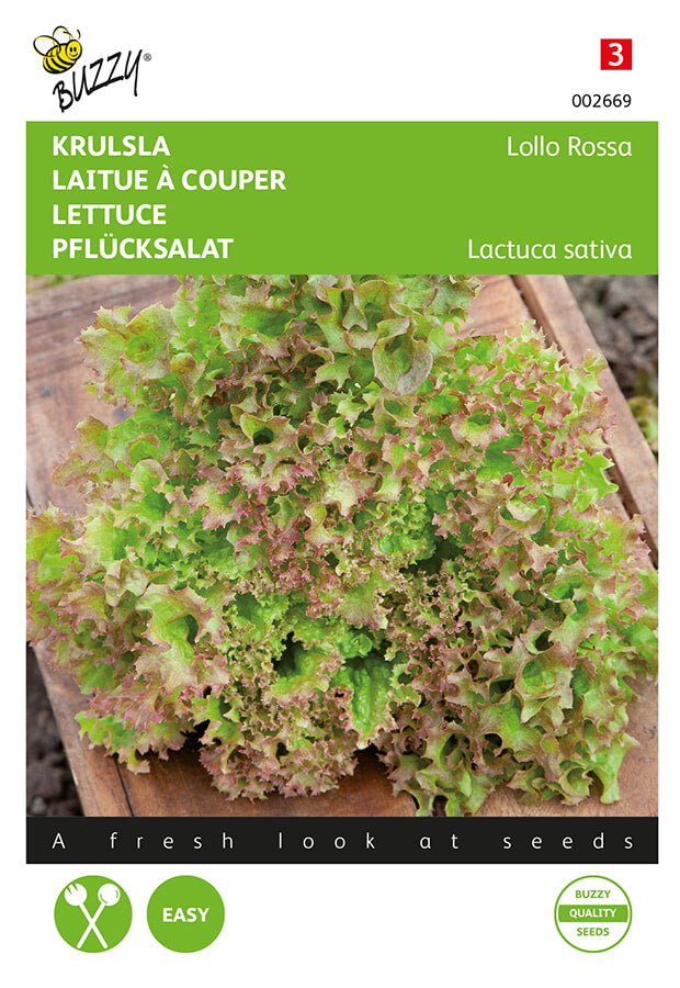 Buzzy Seeds Pflück- & Schnittsalat Lollo Rosso