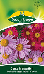 Quedlinburger Margeriten Robinsons Riesen