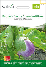Sativa Aubergine Rotonda Bianca Sfumata di Rosa