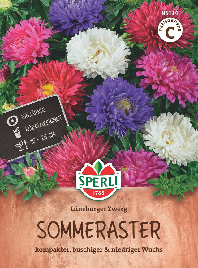 SPERLI Sommeraster Lüneburger Zwerg