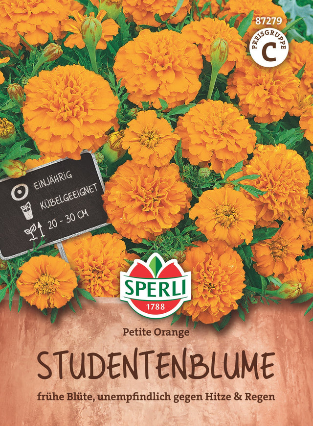 SPERLI Studentenblume Petite Orange